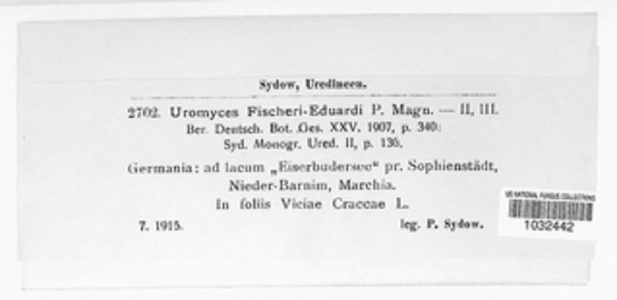 Uromyces fischeri-eduardi image